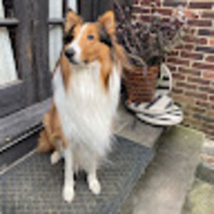 Meet your Posher, Daniela